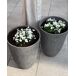 Beliani Conjunto de 2 macetas CAMIA Beliani Conjunto de 2 macetas CAMIA