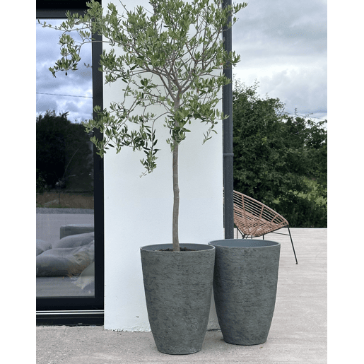 Conjunto de 2 vasos para plantas CAMIA 43 cm Cinzento