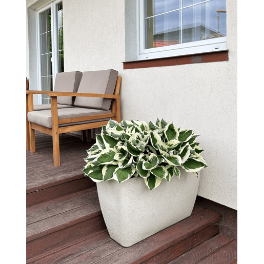Conjunto de 2 vasos para plantas BARIS 74 cm Creme