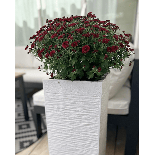 Vaso DION 26 cm Creme claro
