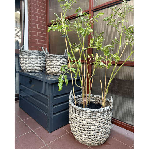 Conjunto de 3 vasos para plantas GEFIRA 313949 cm Cinzento