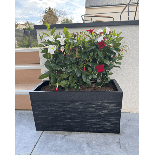 Vaso MYRA 60 cm Preto