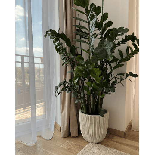 Vaso CHIOS 31 cm Creme Vaso CHIOS 31 cm Creme