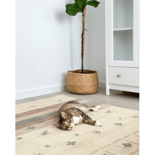 Tapete KARLI Creme 160 x 230 cm Lã Gabbeh Tapete KARLI Creme 160 x 230 cm Lã Gabbeh