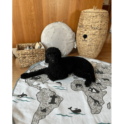 Cesto infantil Urso de peluche SAMBUR Vime Natural