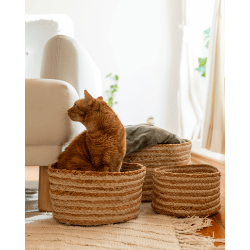 Conjunto de 3 cestos KAHU Juta Natural