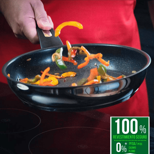 Frigideira Tefal EMOTION G6 Ø 24 cm