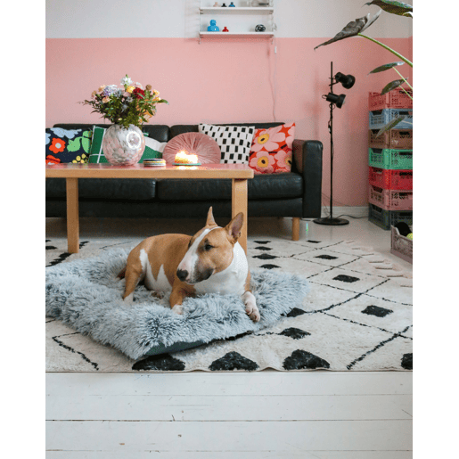 Cama para animais de estimação ERGANI Veludo Azul