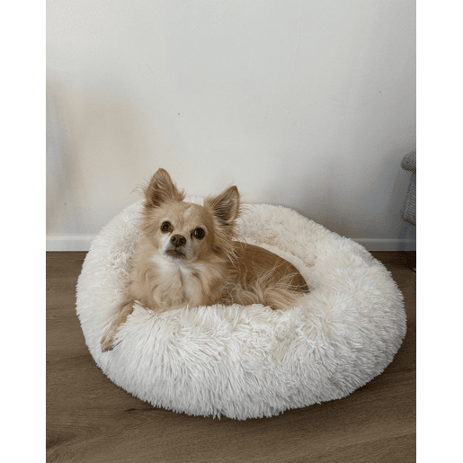 Beliani Cama para animais de estimação KULU