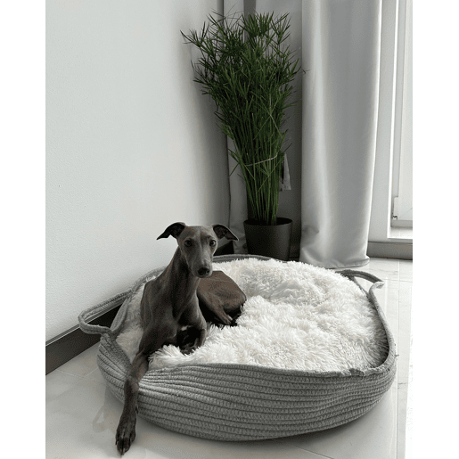 Beliani Cama para animais de estimação DALAMAN