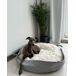 Beliani Cama para mascotas DALAMAN Beliani Cama para mascotas DALAMAN Gris