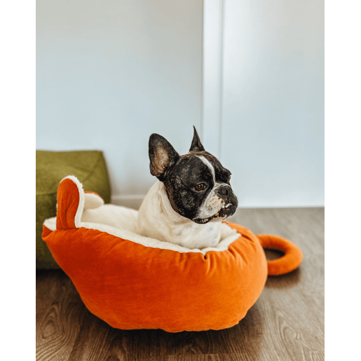 Cama para animais de estimação HASSA Veludo Laranja