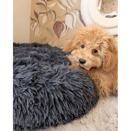 Beliani Cama para animais de estimação KULU Beliani Cama para animais de estimação KULU
