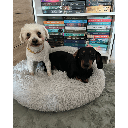 Cama para animais de estimação KULU Imitação de pele Cinzento claro