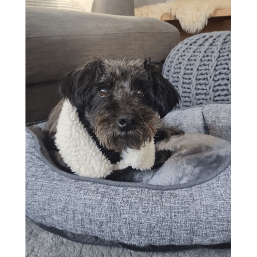 Cama para animais de estimação CANDIR Linho Cinzento