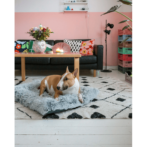 Cama para animais de estimação ERGANI Veludo Azul