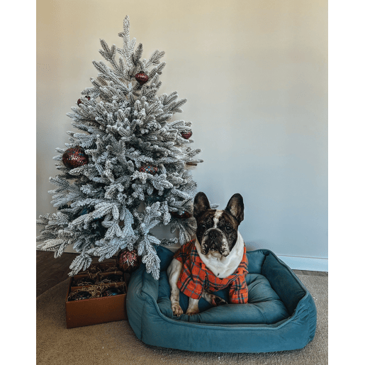 Cama para animais de estimação IZMIR Veludo Azul