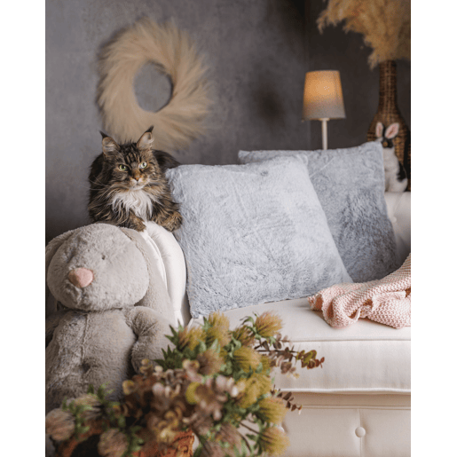 Conjunto de 2 almofadas decorativas CLEMATIS Imitação de pele 45 x 45 cm Cinzento claro Sólido