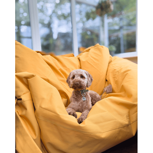 Pufe 600 L FUZZY 180 cm 230 cm Amarelo
