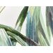 Beliani Cojín de jardín CALDERINA 45x45 Beliani Cojín de jardín CALDERINA 45x45 Verde