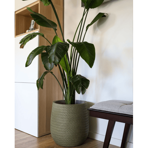 Beliani Vaso LIVADIA