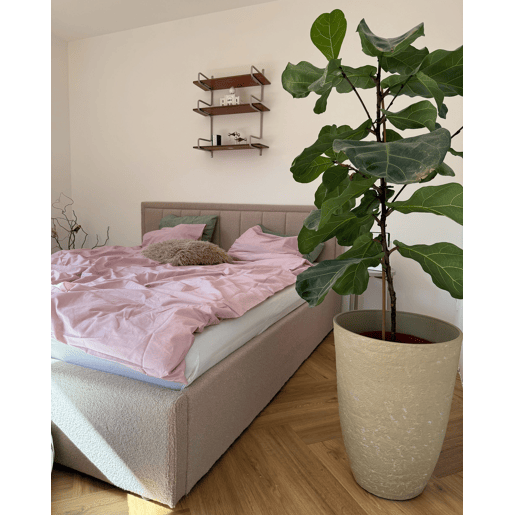 Conjunto de 2 vasos para plantas CAMIA 35 cm Creme