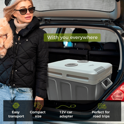 Briebe CF1155 Geleira Eléctrica 40L, Refrigerador Eléctrico Portátil, Campismo Viagens 12V  220 - 240V, Refrigeração e Aquecimento, 58 , Cinza