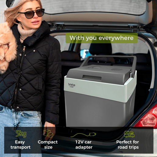 Briebe CF1153 Geleira Eléctrica 28L, Refrigerador Eléctrico Portátil, Campismo Viagens 12V  220 - 240V, Refrigeração e Aquecimento, 55, Cinza