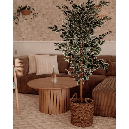 Conjunto de 2 almofadas decorativas TATSOI Algodão 45 x 45 cm Creme Padrão geométrico