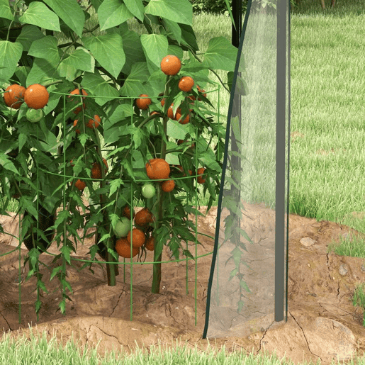 Outsunny Estufa de Jardim Estufa de Varanda com 2 Portas com Fecho de Correr Anti UV para Cultivo de Plantas Flores Verduras 90x90x145 cm Transparente
