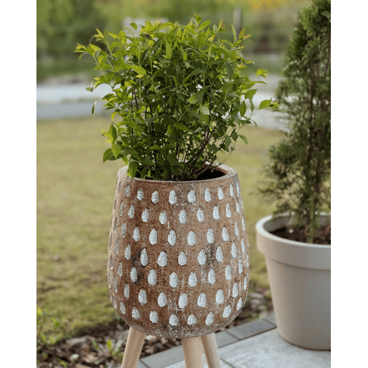 Vaso alto para plantas ASCLEPIAS 27 cm Castanho claro
