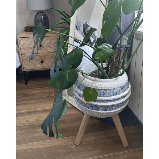 Beliani Vaso alto para plantas ATHYRIUM