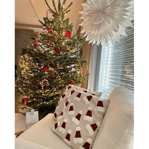 Conjunto de 2 almofadas decorativas SUGARPLUM Algodão 45 x 45 cm Creme claro Padrão natalicio