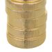 Hucha monedas Hucha monedas Dorado