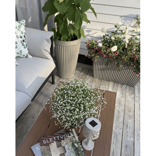 Vaso SISAL 73 cm Creme Vaso SISAL 73 cm Creme