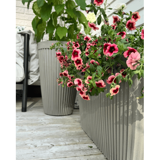 Vaso KOLA 39 cm Creme
