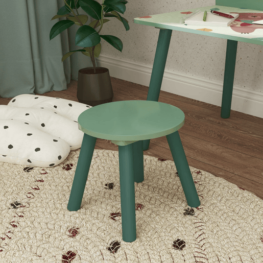 AIYAPLAY Mesa e Cadeira para Crianças Conjunto de 2 Peás de Mesa Infantil com Cadeira e Prateleira para Livros Secretária para Crianças acima de 3 Anos para Sala de Jogos Dormitório Verde