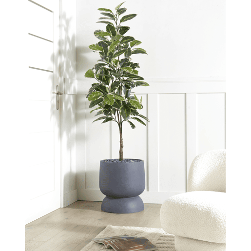 Beliani Vaso ARAUCARIA