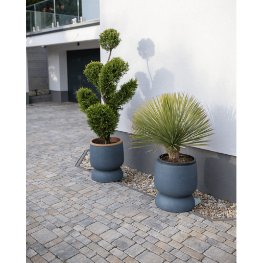 Beliani Vaso ARAUCARIA