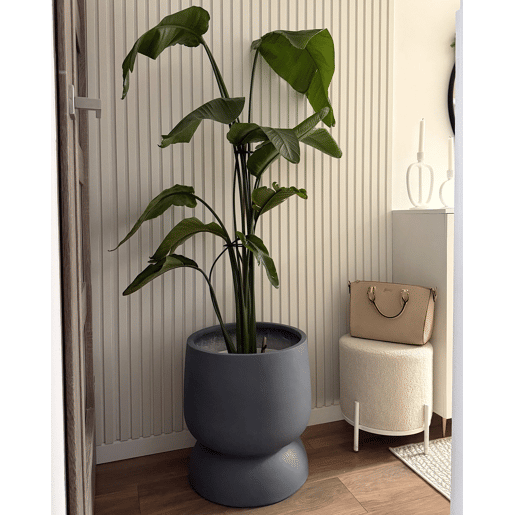 Beliani Vaso ARAUCARIA Beliani Vaso ARAUCARIA
