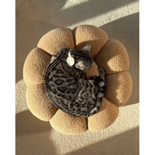 Pufe BEAUFORT Bouclé Castanho claro 60 cm 60 cm 27 cm
