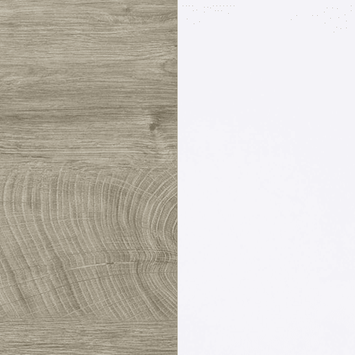 Roupeiro Brike 180 2 portas de correr Artik Branco (Branco mate) - Carvalho Alasca 180 x 200 x 60 cm