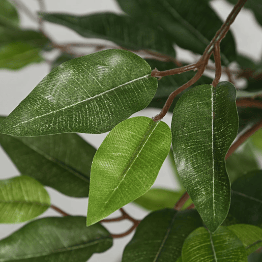 Outsunny Planta Artificial Ficus 150 cm Planta Artificial com 1008 Folhas Musgo e Vaso Planta Artificial Decorativa para Interior e Exterior Casa Sala de Estar Escritório Verde Outsunny Planta Artificial Ficus 150 cm Planta Artificial com 1008 Folhas Musgo e Vaso Planta Artificial Decorativa para Interior e Exterior Casa Sala de Estar Escritório Verde