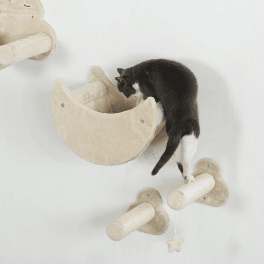 PawHut Conjunto de Prateleiras de Escalada para Gatos de 6 Peças Tema Céu Prateleiras para Gatos com Redes Plataformas Escadas Tábua de Arranhar Poste de Sisal e Estrelas de Brinquedo Bege