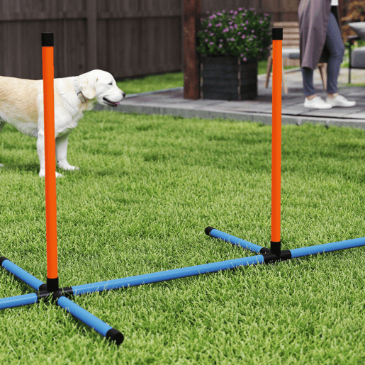PawHut Conjunto de Treino de Agilidade para Cães de 6 Peças Conjunto Agility para Cães com Piquetes para Slalom Zona de Descanso Barreira Anel de Salto e Bolas Laranja