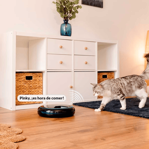Cecotec Dispensador automático de alimentos para animais de estimação com 4 secções independentes, capacidade de 1,6 l, ecrã LED, temporizador e gravador de voz.
