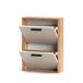 Zapatero Eira 2 Puertas | Diseño Compacto y Funcional Zapatero Eira 2 Puertas | Diseño Compacto y Funcional Marrón