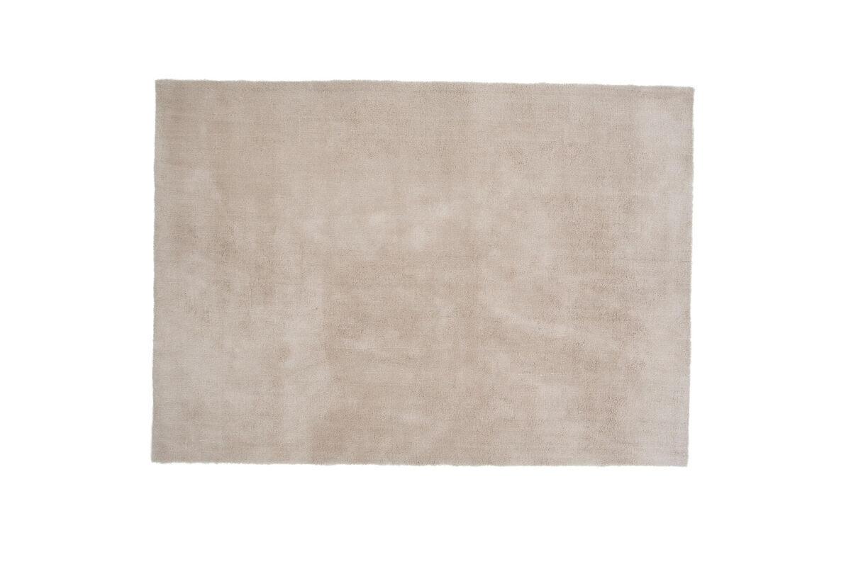 Alfombra de salón 250x350 Beige
