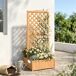 Jardinera con Enrejado Madera de Abeto Outsunny Jardinera con Enrejado Madera de Abeto Outsunny Marrón
