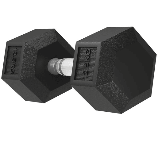 HOMCOM Conjunto de 2 Halteres Hexagonais 12,5 kg (25 kg Total) Ferro Fundido Revestidos em Borracha com Pega Anti-Deslizante para Musculação em Casa ou Ginásio Preto e Prateado